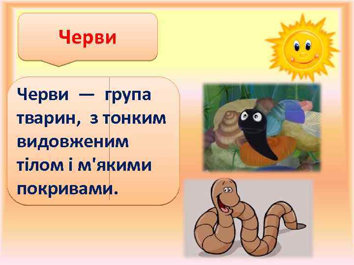 Черви — група тварин, з тонким видовженим тілом і м'якими покривами. 