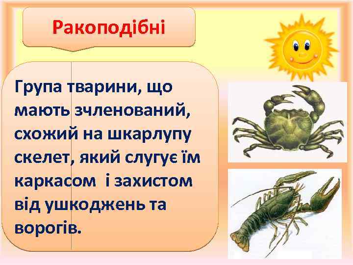 Ракоподібні Група тварини, що мають зчленований, схожий на шкарлупу скелет, який слугує їм каркасом