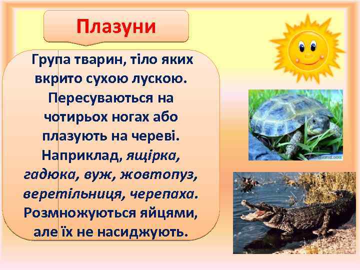 Плазуни Група тварин, тіло яких вкрито сухою лускою. Пересуваються на чотирьох ногах або плазують