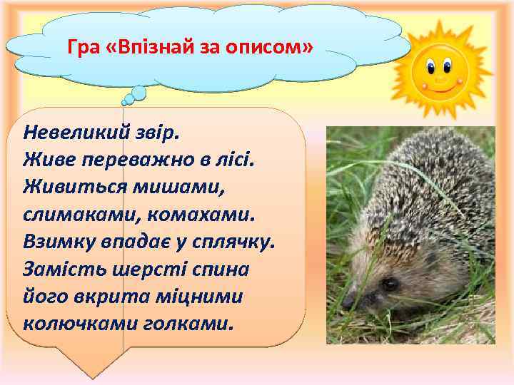 Гра «Впізнай за описом» Невеликий звір. Живе переважно в лісі. Живиться мишами, слимаками, комахами.