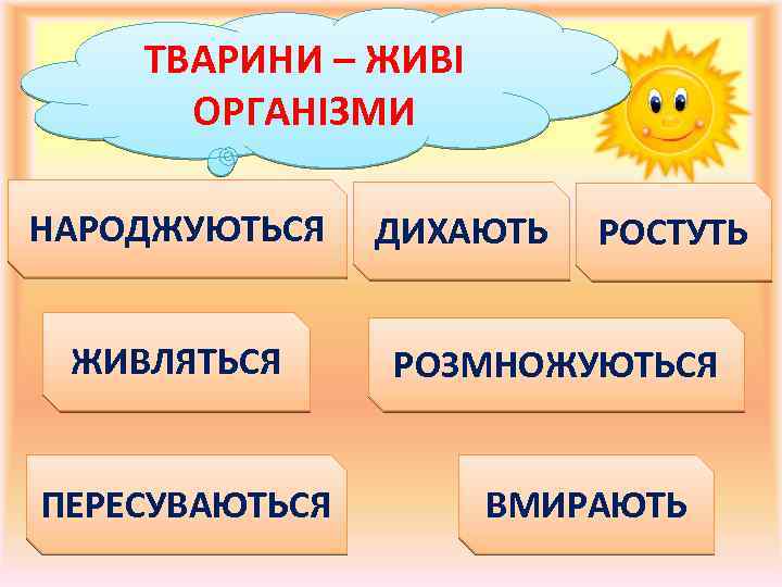 ТВАРИНИ – ЖИВІ ОРГАНІЗМИ НАРОДЖУЮТЬСЯ ЖИВЛЯТЬСЯ ПЕРЕСУВАЮТЬСЯ ДИХАЮТЬ РОСТУТЬ РОЗМНОЖУЮТЬСЯ ВМИРАЮТЬ 