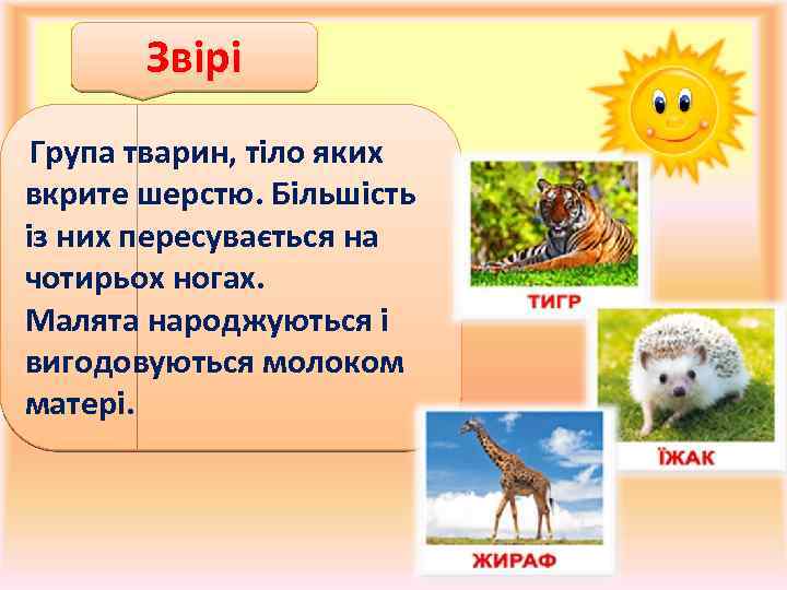 Звірі Група тварин, тіло яких вкрите шерстю. Більшість із них пересувається на чотирьох ногах.