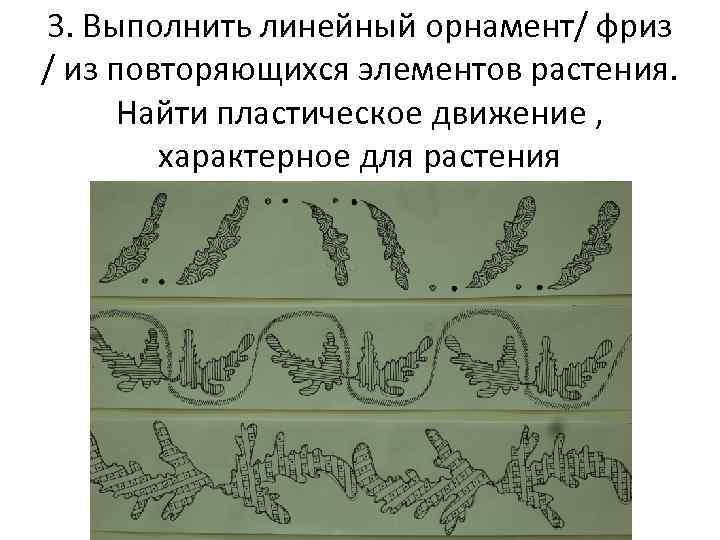 3. Выполнить линейный орнамент/ фриз / из повторяющихся элементов растения. Найти пластическое движение ,