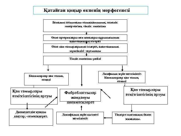 Қатайған қоңыр өкпенің морфогенезі Веналық созылмалы толыққандылық, өкпелік гипертензия, тіндік гипоксия Өкпе артериялары мен