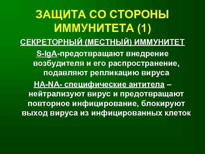 ЗАЩИТА СО СТОРОНЫ ИММУНИТЕТА (1) СЕКРЕТОРНЫЙ (МЕСТНЫЙ) ИММУНИТЕТ S-Ig. A-предотвращают внедрение возбудителя и его