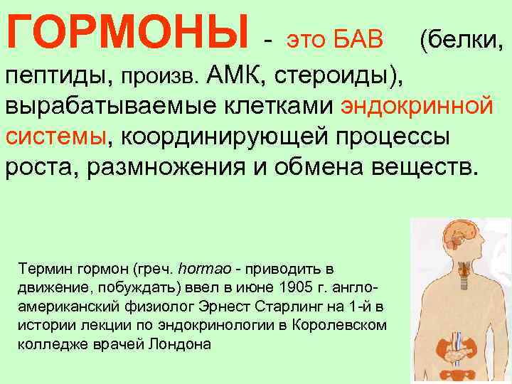 ГОРМОНЫ - это БАВ (белки, пептиды, произв. АМК, стероиды), вырабатываемые клетками эндокринной системы, координирующей