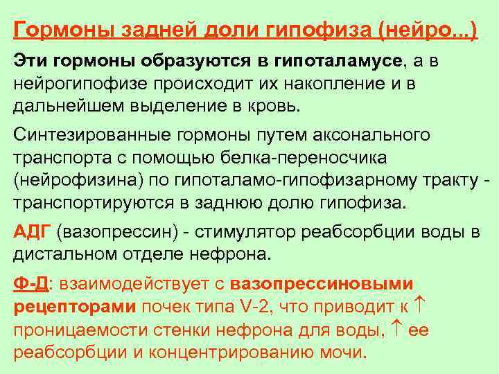 Гормоны задней доли гипофиза (нейро. . . ) Эти гормоны образуются в гипоталамусе, а