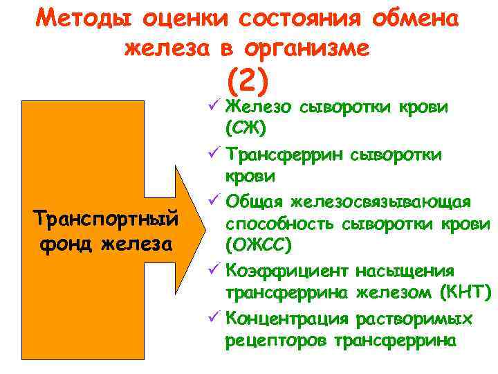Методы оценки состояния обмена железа в организме (2) Транспортный фонд железа ü Железо сыворотки