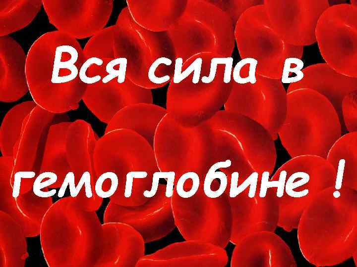 Вся сила в гемоглобине ! 