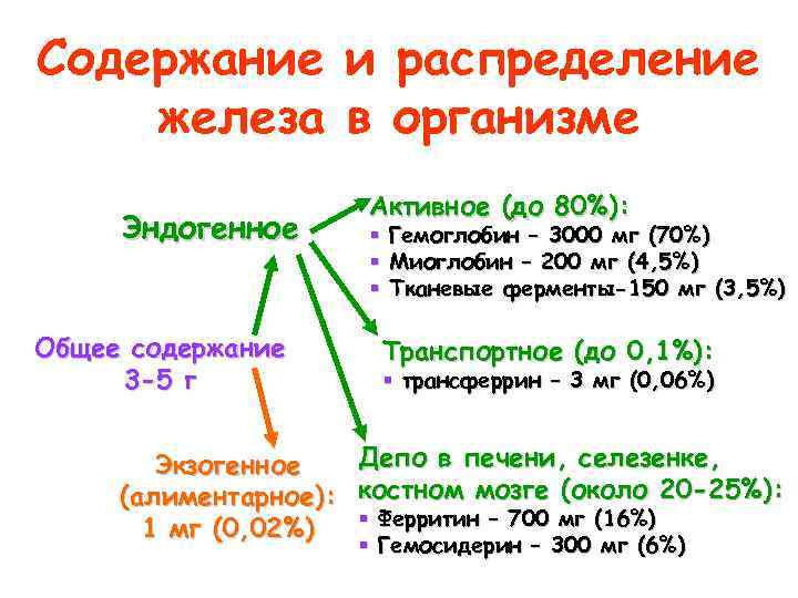 Содержание и распределение железа в организме Эндогенное Общее содержание 3 -5 г Активное (до