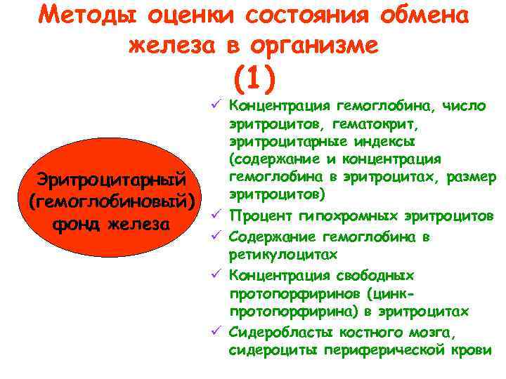 Состояние обмена. Оценка обмена железа. Гемоглобиновый фонд железа. Тест для оценки обмена железа является. Для оценки состояния запасов железа в организме оценивают.