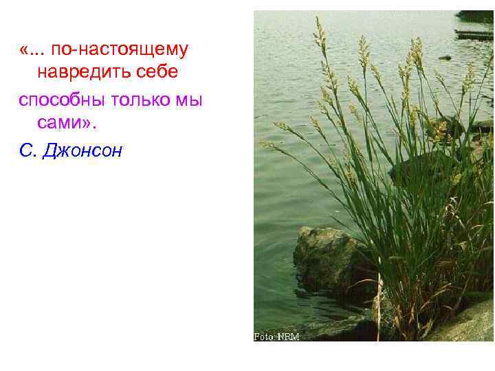  «. . . по-настоящему навредить себе способны только мы сами» . С. Джонсон