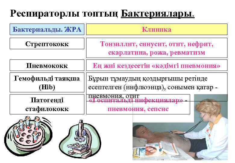 Респираторлы топтың Бактериялары. Бактериальды. ЖРА Клиника Стрептококк Тонзиллит, синусит, отит, нефрит, скарлатина, рожа, ревматизм