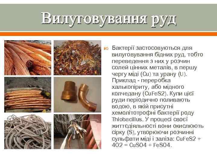 Вилуговування руд Бактерії застосовуються для вилуговування бідних руд, тобто переведення з них у розчин