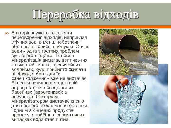 Переробка відходів Бактерії служать також для перетворення відходів, наприклад стічних вод, в менш небезпечні