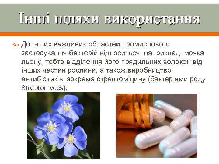 Інші шляхи використання До інших важливих областей промислового застосування бактерій відноситься, наприклад, мочка льону,