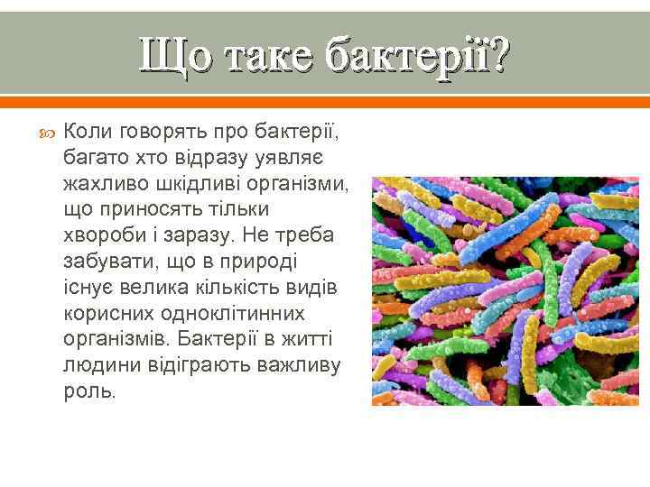 Що таке бактерії? Коли говорять про бактерії, багато хто відразу уявляє жахливо шкідливі організми,