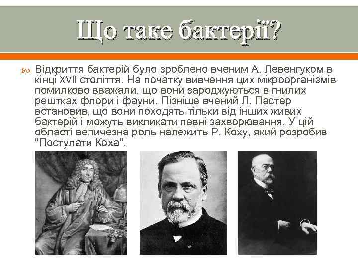 Що таке бактерії? Відкриття бактерій було зроблено вченим А. Левенгуком в кінці XVII століття.