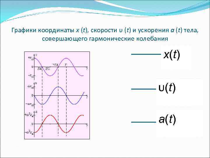 График зависимости гармонических колебаний. График координаты скорости гармонические колебания. График скорости при гармонических колебаниях. Графики скорости и ускорения при гармонических колебаниях. Координата тела совершающего гармонические колебания.