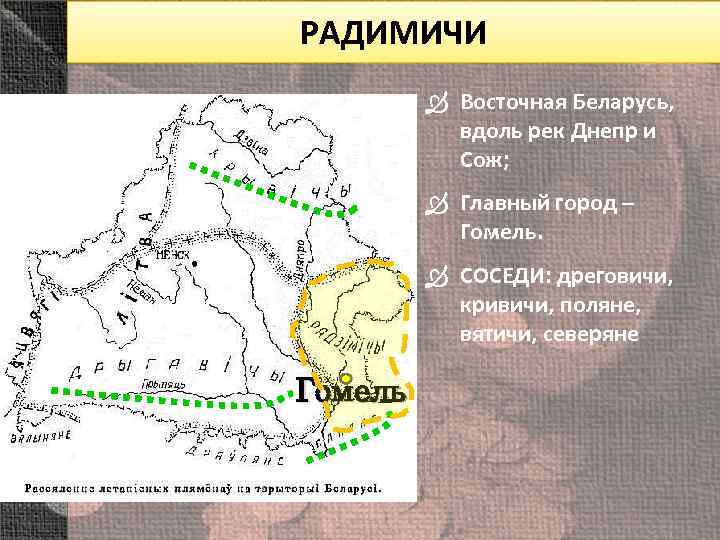 РАДИМИЧИ Восточная Беларусь, вдоль рек Днепр и Сож; Главный город – Гомель. СОСЕДИ: дреговичи,