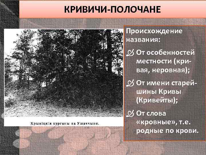 КРИВИЧИ-ПОЛОЧАНЕ Происхождение названия: От особенностей местности (кривая, неровная); От имени старейшины Кривы (Кривейты); От