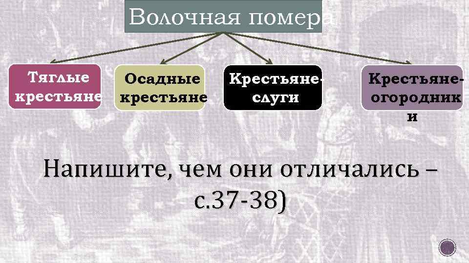 Волочная помера Тяглые крестьяне Осадные крестьяне Крестьянеслуги Крестьянеогородник и Напишите, чем они отличались –