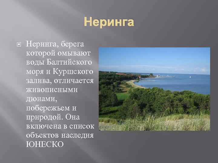 Неринга Неринга, берега которой омывают воды Балтийского моря и Куршского залива, отличается живописными дюнами,