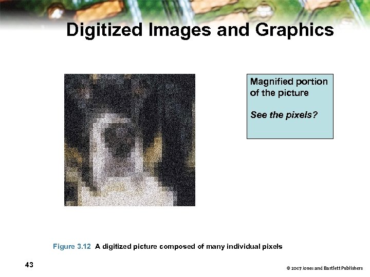 Digitized Images and Graphics Magnified portion of the picture See the pixels? Figure 3.