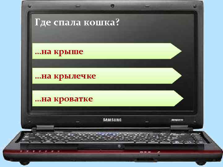 Где спала кошка? …на крыше …на крылечке …на кроватке 