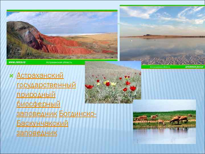  Астраханский государственный природный биосферный заповедник Богдинско. Баскунчакский заповедник 