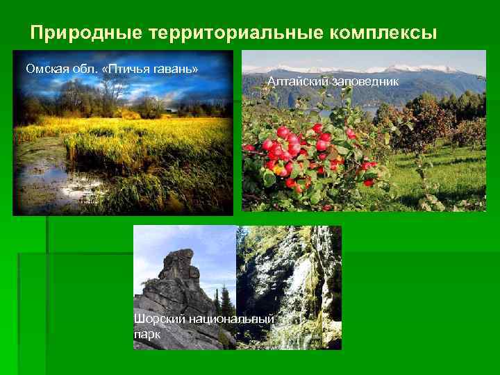 Природные комплексы алтайского края. Природный территориальный комплекс. Природные комплексы Алтая. Природный комплекс Алтайского края. Алтайский заповедник презентация.