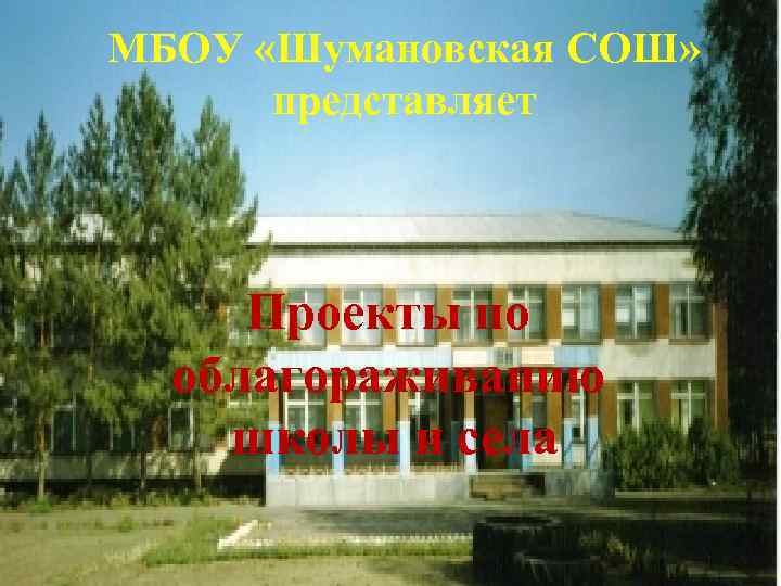 МБОУ «Шумановская СОШ» представляет Проекты по облагораживанию школы и села 