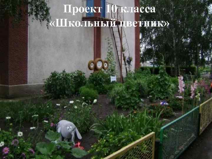 Проект 10 класса «Школьный цветник» 