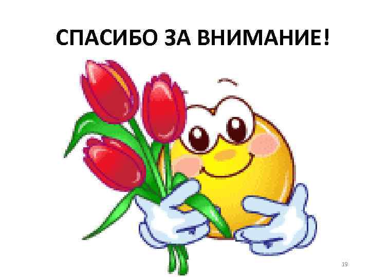 СПАСИБО ЗА ВНИМАНИЕ! 19 