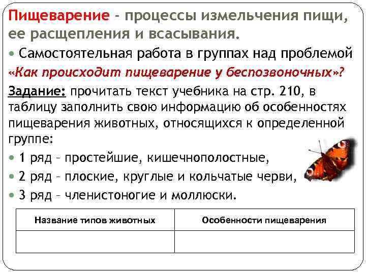 Пищеварение - процессы измельчения пищи, ее расщепления и всасывания. Самостоятельная работа в группах над