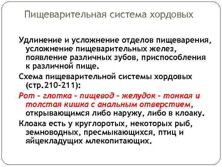 Пищеварительная система хордовых Удлинение и усложнение отделов пищеварения, усложнение пищеварительных желез, появление различных зубов,