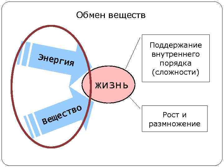 Обмен веществ Энерг Поддержание внутреннего порядка (сложности) ия жизнь Вещ тво ес Рост и