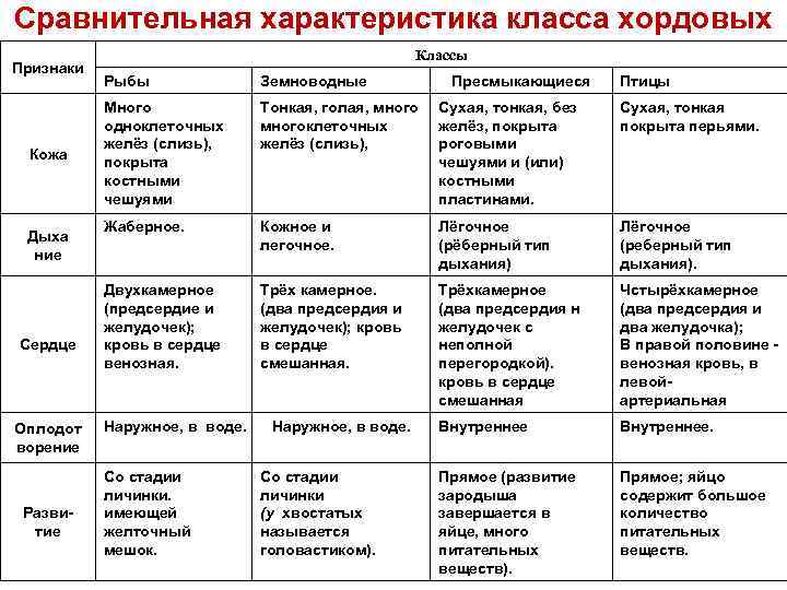 Сравнительная характеристика класса хордовых Признаки Кожа Дыха ние Сердце Оплодот ворение Развитие Классы Рыбы