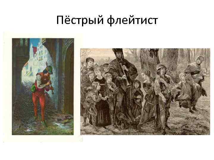 Пёстрый флейтист 