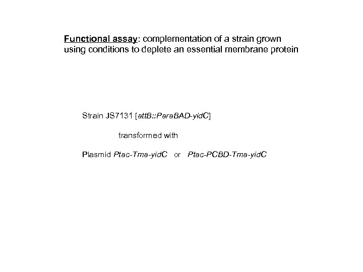 Functional assay: complementation of a strain grown using conditions to deplete an essential membrane