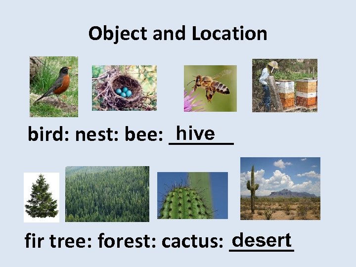 Object and Location hive bird: nest: bee: ______ desert fir tree: forest: cactus: ______