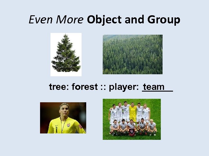 Even More Object and Group tree: forest : : player: ______ team 