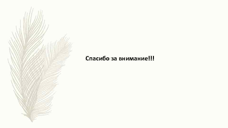 Спасибо за внимание!!! 
