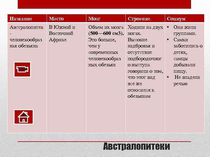 Название Место Мозг Строение Социум Австралопитек человекообраз ная обезьяна В Южной и Восточной Африке