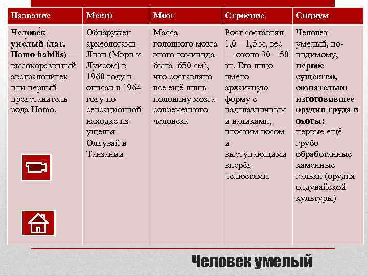 Название Место Мозг Строение Социум Челове к уме лый (лат. Homo habilis) — высокоразвитый