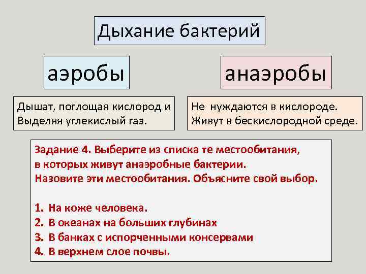 Дыхание бактерий аэробы Дышат, поглощая кислород и Выделяя углекислый газ. анаэробы Не нуждаются в