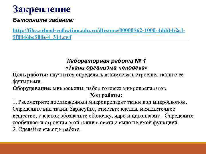 Закрепление Выполните задание: http: //files. school-collection. edu. ru/dlrstore/00000562 -1000 -4 ddd-b 2 e 15