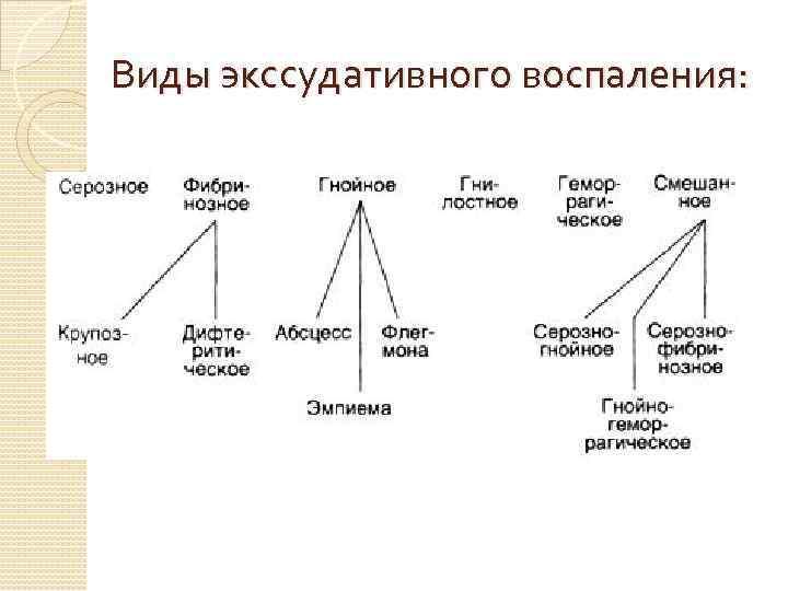 Виды экссудативного воспаления: 