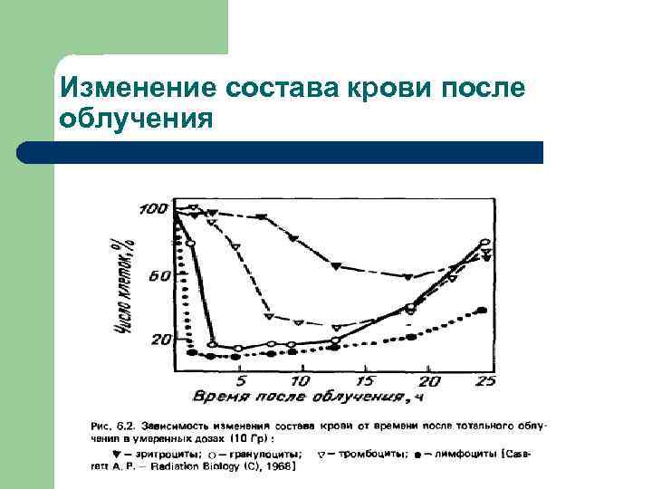 Изменение состава крови после облучения 