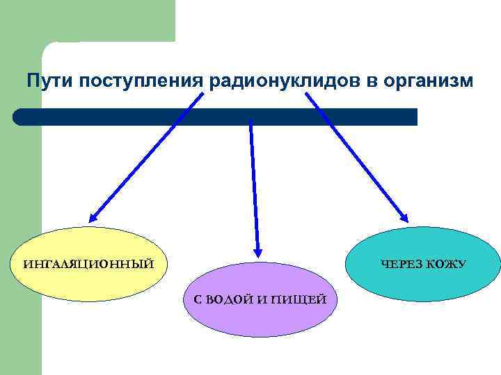 Пути поступления радионуклидов в организм ИНГАЛЯЦИОННЫЙ ЧЕРЕЗ КОЖУ С ВОДОЙ И ПИЩЕЙ 